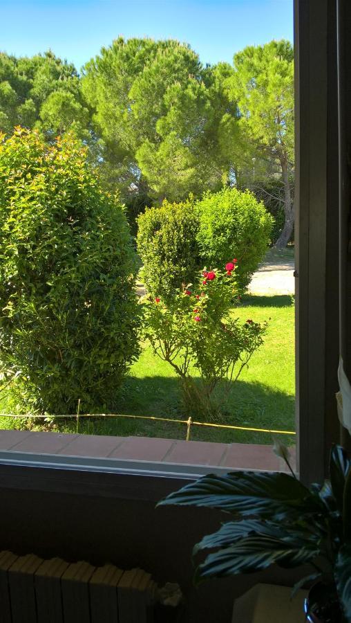 Chez Naomi Bed & Breakfast Saint-Jean-de-Cornies Bagian luar foto